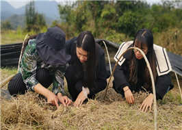 李云凤和伙伴们查看赤松茸生长状况.jpg